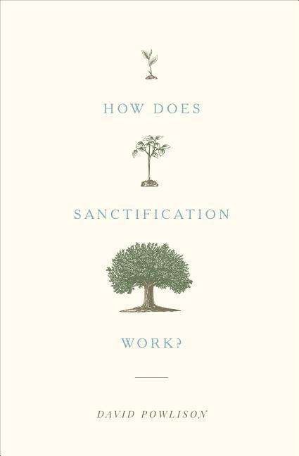 Cover for David Powlison · How Does Sanctification Work? (Taschenbuch) (2017)