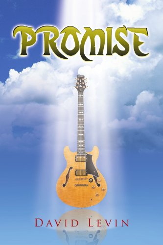 Cover for David Levin · Promise (Paperback Book) (2008)