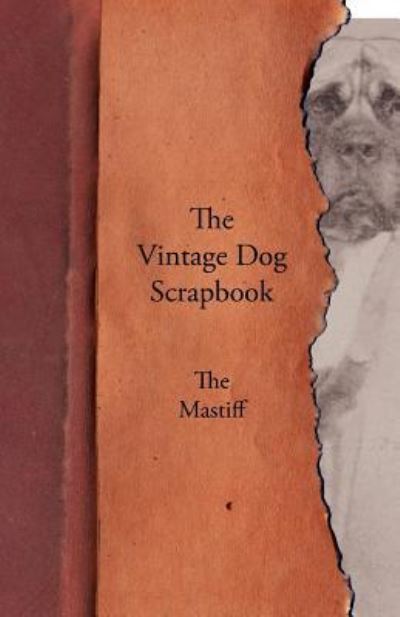 The Vintage Dog Scrapbook - the Mastiff - V/A - Książki - Vintage Dog Books - 9781447429104 - 4 listopada 2011