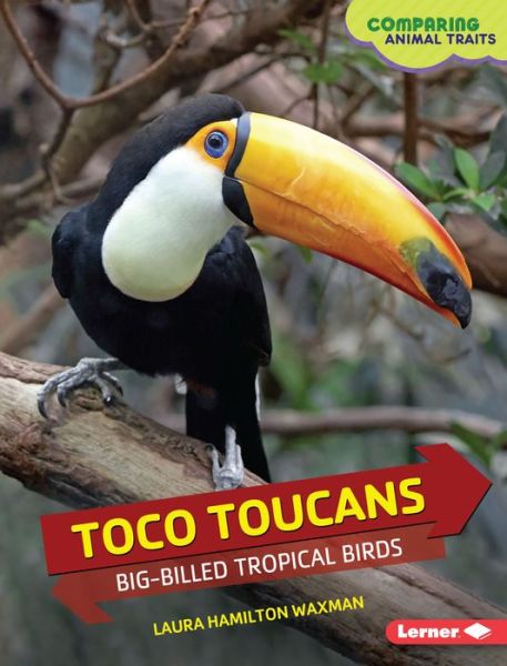 Cover for Laura Hamilton Waxman · Toco Toucans (Book) (2016)