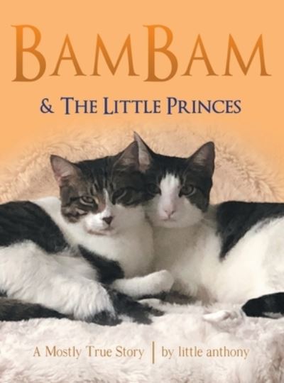 Cover for Little Anthony · Bambam &amp; the Little Princes (Hardcover Book) (2020)