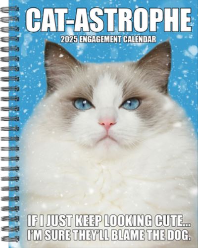 Willow Creek Press · Cat-Astrophe 2025 6.5 X 8.5 Engagement Calendar (Kalender) (2024)