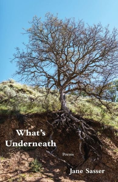 Cover for Jane Sasser · What's Underneath (Paperback Book) (2020)