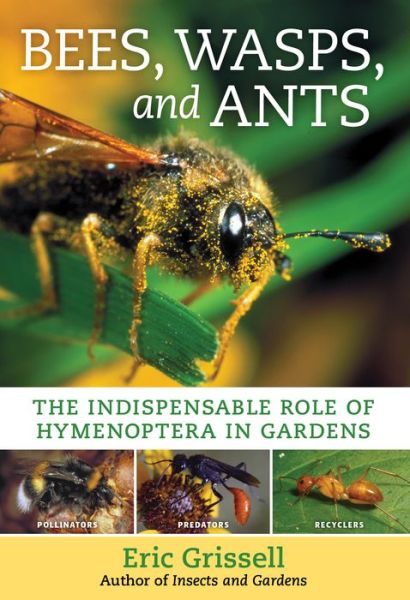 Bees, Wasps, and Ants: The Indispensable Role of Hymenoptera in Gardens - Eric Grissell - Books - Workman Publishing - 9781604699104 - June 30, 2010