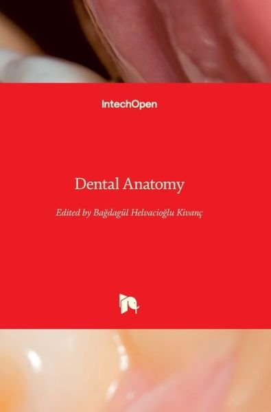 Cover for Bagdagul Helvacioglu Kivanc · Dental Anatomy (Hardcover Book) (2018)