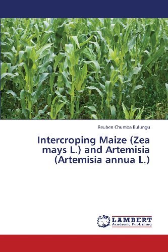 Cover for Reuben Chumba Bulungu · Intercroping Maize (Zea Mays L.) and Artemisia (Artemisia Annua L.) (Taschenbuch) (2013)