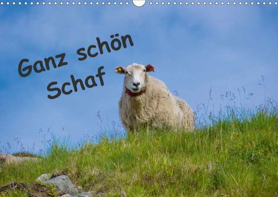 Cover for Eimler · Ganz schön Schaf (Wandkalender 2 (Book)