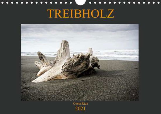 Treibholz Costa Rica (Wandkalend - Staack - Książki -  - 9783672045104 - 