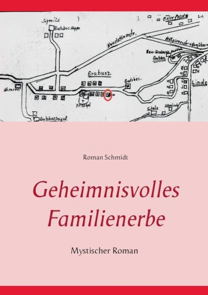 Cover for Roman Schmidt · Geheimnisvolles Familienerbe (Paperback Book) [German edition] (2014)