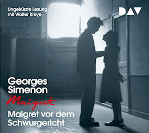 Cover for Georges Simenon · Maigret vor dem Schwurgericht (CD)