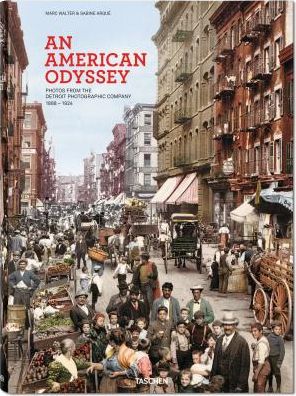 Cover for Marc Walter · An American Odyssey (Hardcover Book) (2014)