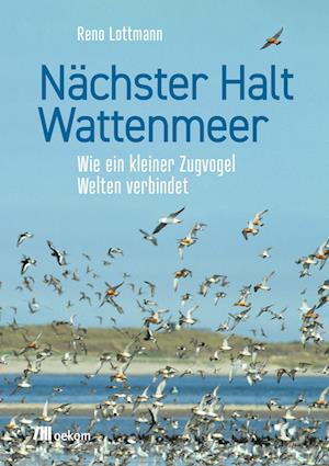 Nächster Halt Wattenmeer - Reno Lottmann - Books - oekom verlag - 9783962384104 - December 1, 2022
