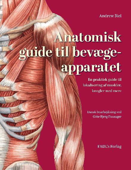 Anatomisk guide til bevægeapparatet - Andrew Biel - Livros - FADL's Forlag - 9788777499104 - 3 de maio de 2017