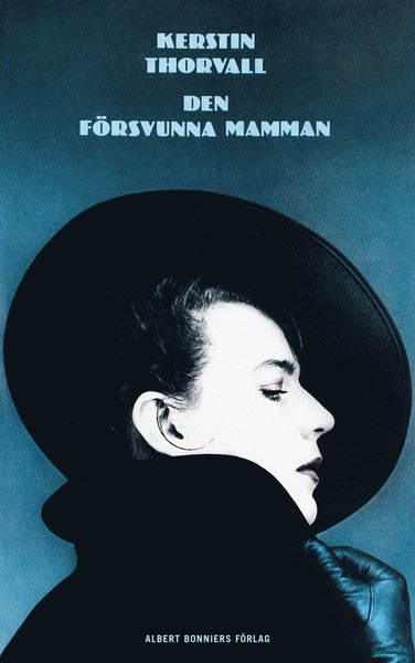 Cover for Kerstin Thorvall · Den försvunna mamman (ePUB) (2015)