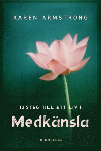 Cover for Karen Armstrong · 12 steg till ett liv i medkänsla (Hardcover Book) (2011)