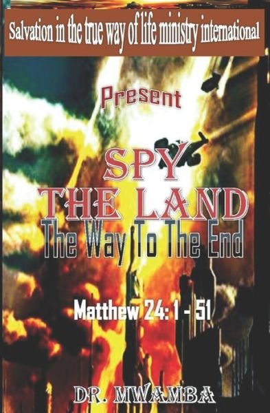 Cover for Mwamba · Spy The Land (Paperback Book) (2020)