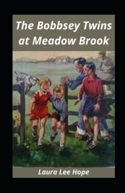 Cover for Laura Lee Hope · The Bobbsey Twins at Meadow Brook illustrated (Paperback Book) (2021)