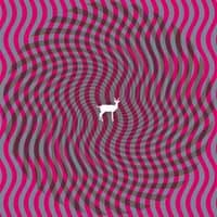 Cover for Deerhunter · Cryptograms Plus Flourescent Grey (LP) (2017)