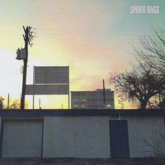 Cover for Spider Bags · Someday Everything Willbe Fine (LP) [Peak Vinyl Indie Shop edition] (2018)