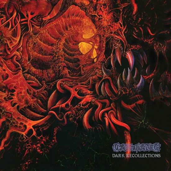 Cover for Carnage · Dark Recollections (LP) (2021)