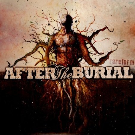 Cover for After the Burial · Rareform (CD) (2008)