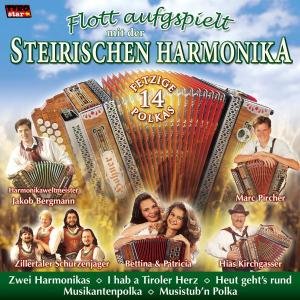 Flott Aufgspielt M.d. Steirischen Harmonika - Various Artists - Musik - TYROLIS - 9003549774105 - 16. august 2004