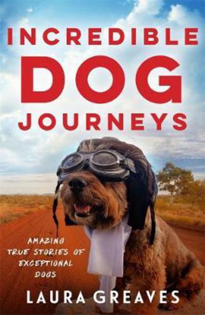 Cover for Laura Greaves · Incredible Dog Journeys: Amazing true stories of exceptional dogs (Paperback Book) (2017)