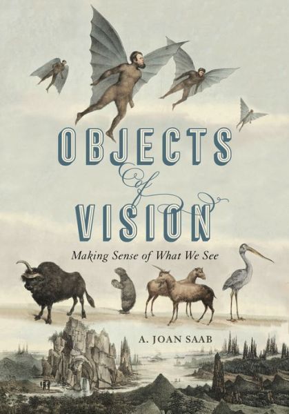 Cover for Saab, A. Joan (Susan B. Anthony Professor, University of Rochester) · Objects of Vision: Making Sense of What We See - Perspectives on Sensory History (Hardcover Book) (2020)