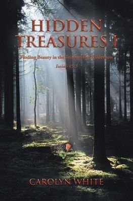 Cover for Carolyn White · Hidden Treasures I: Finding Beauty in the Trials of the Wilderness (Paperback Book) (2020)