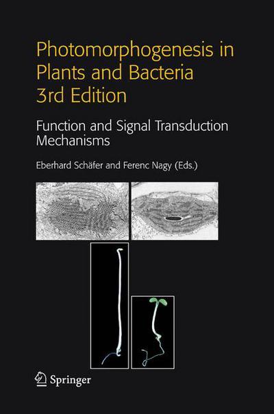 Cover for Eberhard Schafer · Photomorphogenesis in Plants and Bacteria: Function and Signal Transduction Mechanisms (Paperback Book) [3rd ed. 2006 edition] (2006)