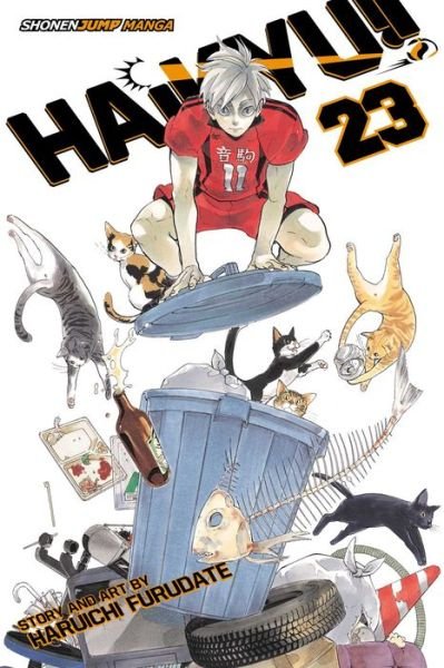 Cover for Haruichi Furudate · Haikyu!!, Vol. 23 - Haikyu!! (Paperback Book) (2018)