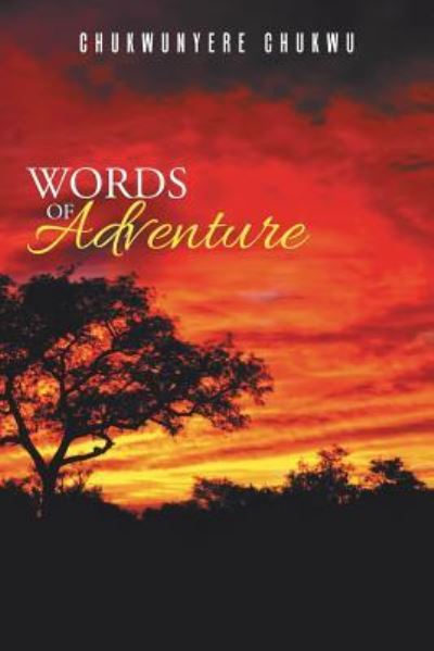 Cover for Chukwunyere Chukwu · Words of Adventure (Paperback Book) (2016)