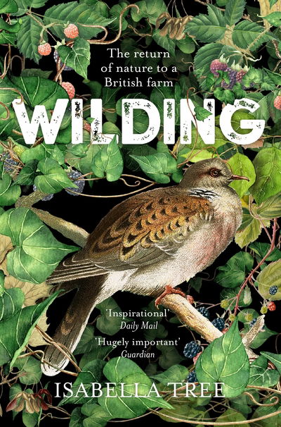 Cover for Isabella Tree · Wilding: The Return of Nature to a British Farm (Paperback Book) (2019)