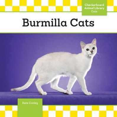 Burmilla Cats - Kate Conley - Books - Checkerboard - 9781624038105 - August 1, 2015