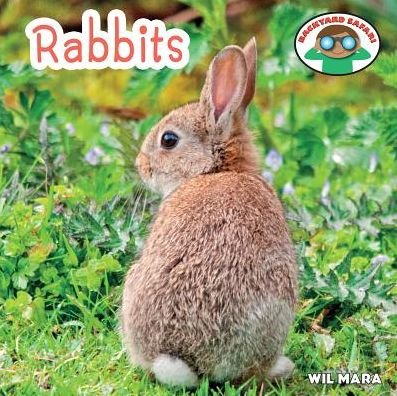 Cover for Wil Mara · Rabbits (Gebundenes Buch) (2014)