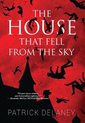 Cover for Patrick Delaney · The House that fell from the Sky (Hardcover Book) (2020)