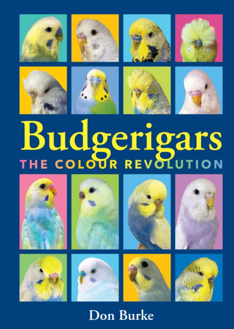 Cover for Don Burke · Budgerigars: The Colour Revolution (Paperback Book) (2025)