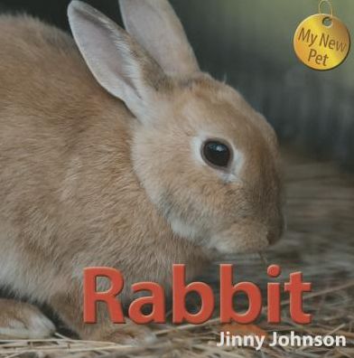 Cover for Jinny Johnson · Rabbit (My New Pet) (Pocketbok) (2013)