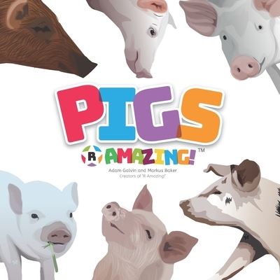 Pigs R Amazing! - Adam Galvin - Books - Mark Baker - 9781916357105 - February 11, 2020