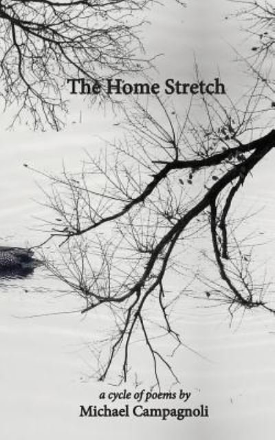 Cover for Michael Campagnoli · The Home Stretch (Taschenbuch) (2017)