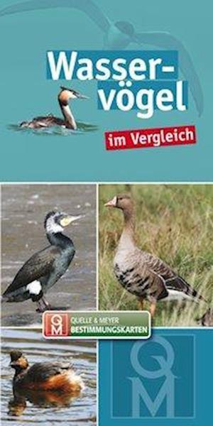 Wasservögel im Vergleich - Quelle + Meyer - Books - Quelle + Meyer - 9783494017105 - October 16, 2018