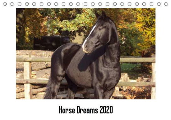 Cover for Meding · Horse Dreams (Tischkalender 2020 (Book)