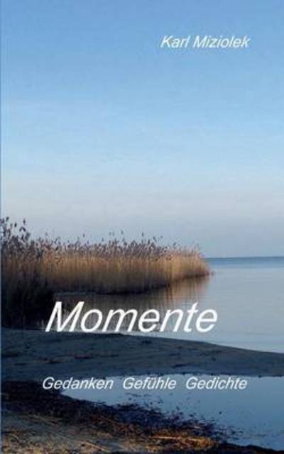 Cover for Miziolek · Momente (Buch) (2016)
