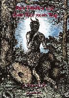 Cover for Oliver Fehn · Der Pfeifer vor dem Tor zum Tag (Hardcover Book) (2017)