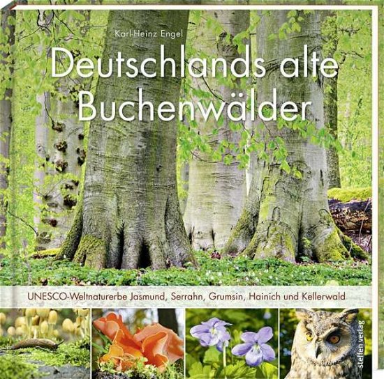 Cover for Engel · Deutschlands alte Buchenwälder (Buch)