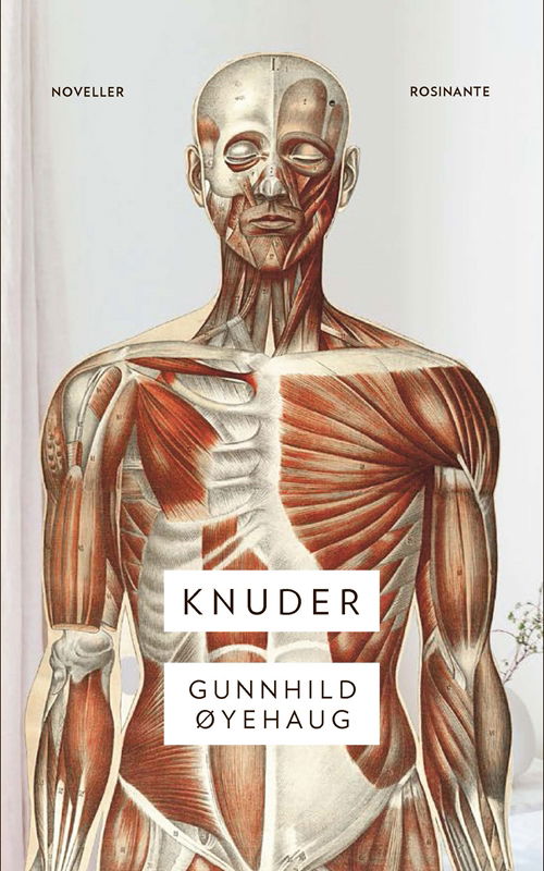 Cover for Gunnhild Øyehaug · Knuder (Sewn Spine Book) [1º edição] (2018)