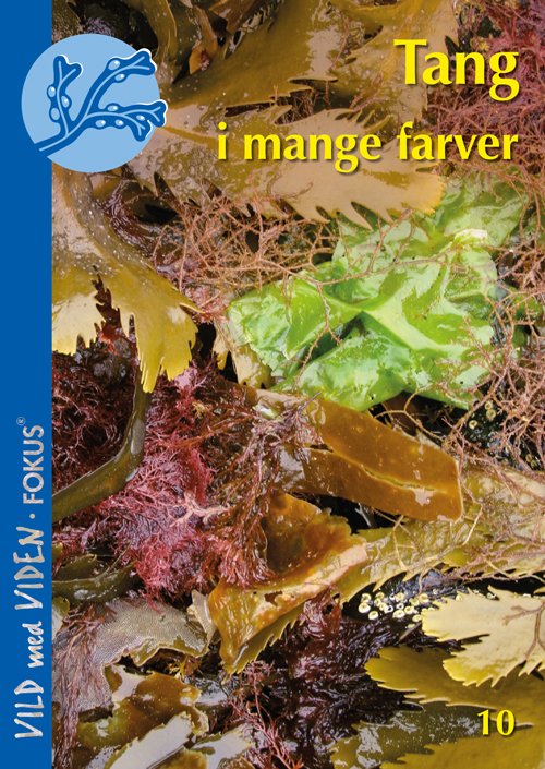 Cover for Morten Foldager Pedersen · Vild med Viden FOKUS, Serie 2 Tang: Tang i mange farver (Hæftet bog) (2019)