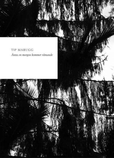 Cover for Tip Marugg · Ännu en morgon kommer råmande (Book) (2023)