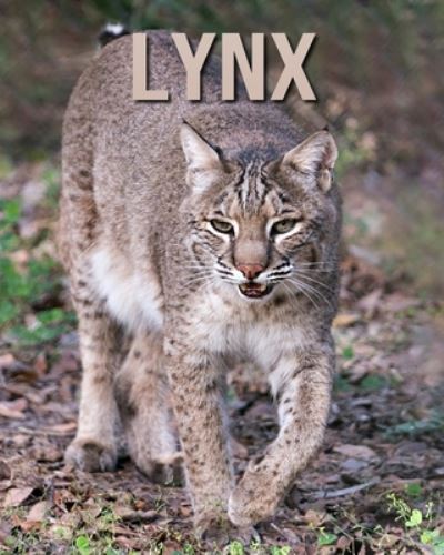 Cover for Joe Murphy · Lynx (Paperback Book) (2020)