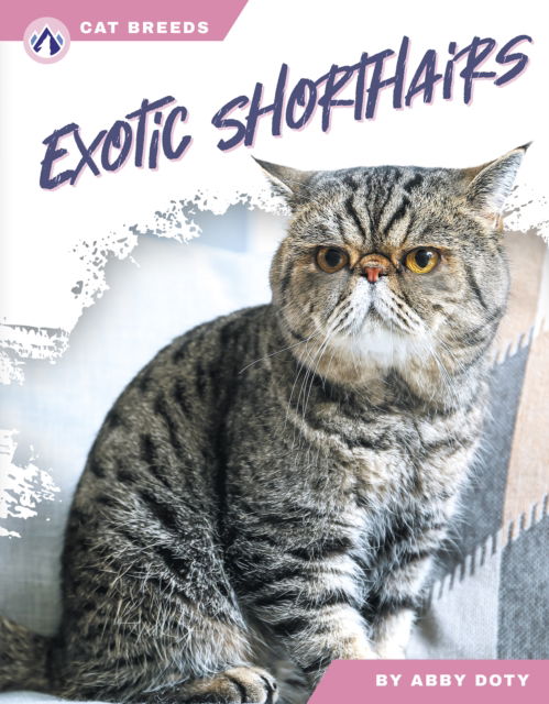 Cover for Abby Doty · Exotic Shorthairs - Cat Breeds (Hardcover Book) (2025)